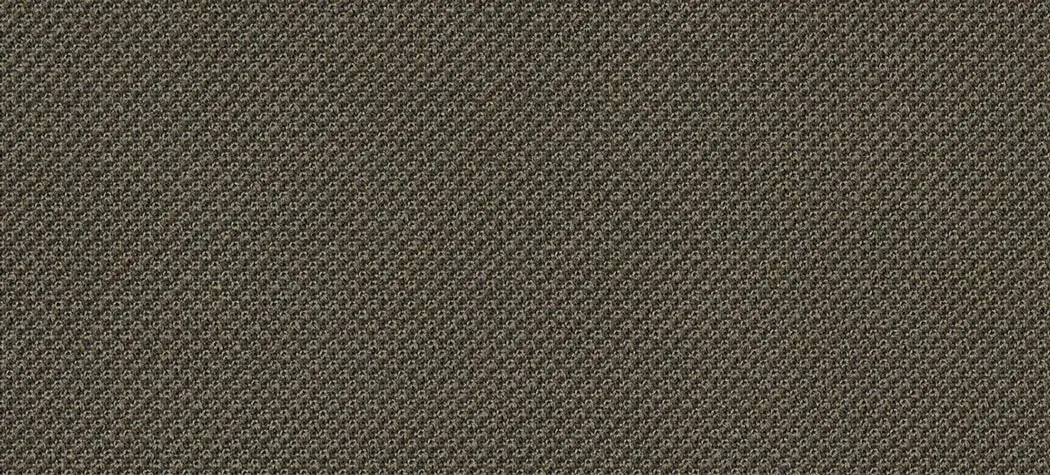 Atlantic, taupe