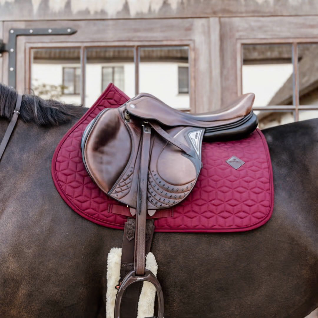 KENTUCKY Hoppschabrak Classic Bordeaux  - 2