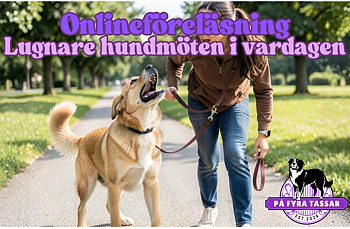 Onlineföreläsning- Lugnare hundmöten i vardagen
