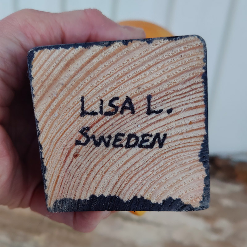 Fågel Fenix Ossian gul av Lisa Larson - 5