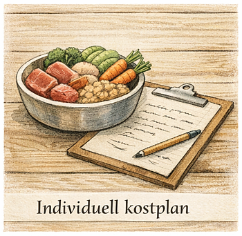 HUNDMATSCOACHEN - Individuell kostplan