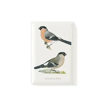 Magnet Domherrar