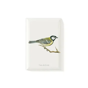 Magnet Talgoxe