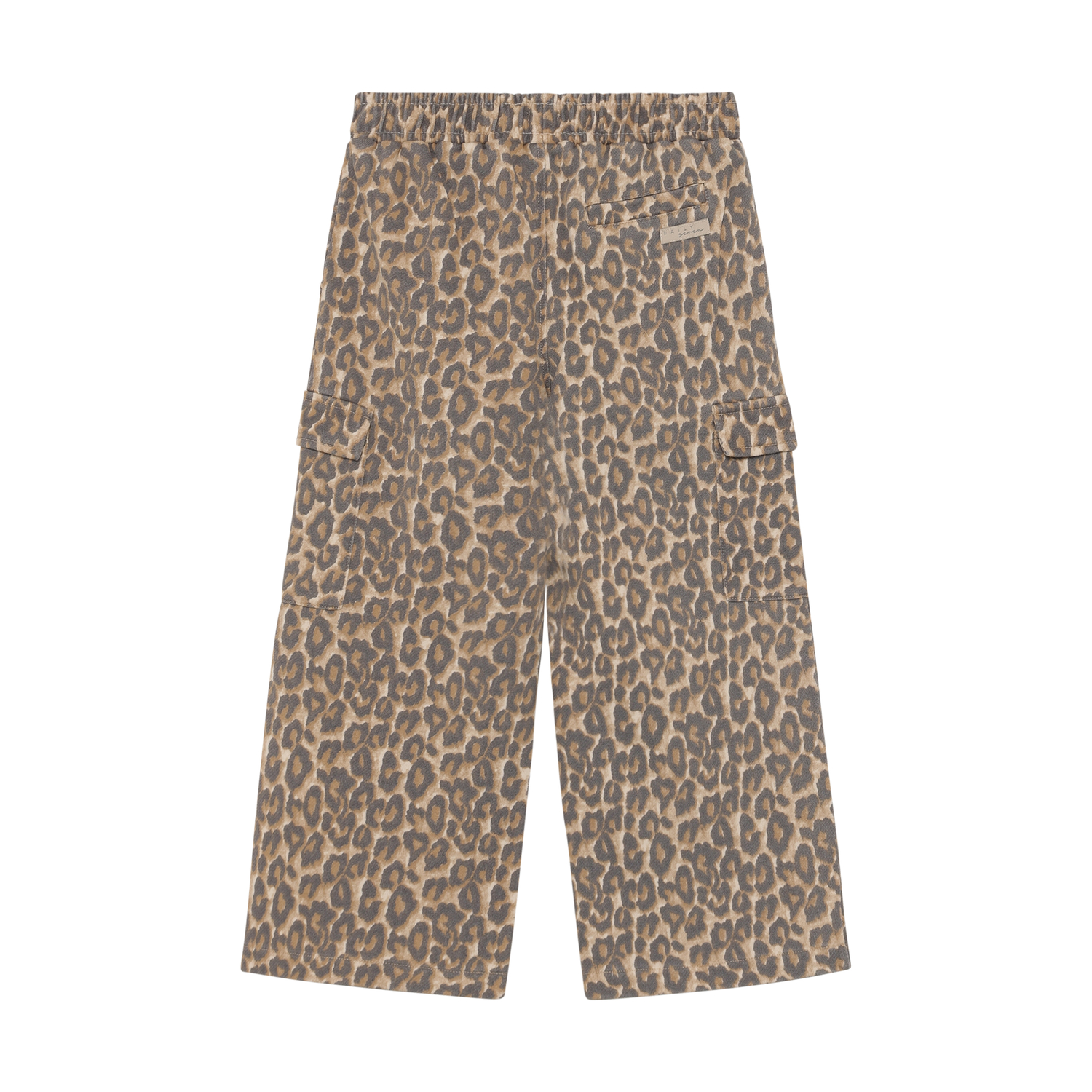 Wide Cargo Pants Print Sandshell - 2