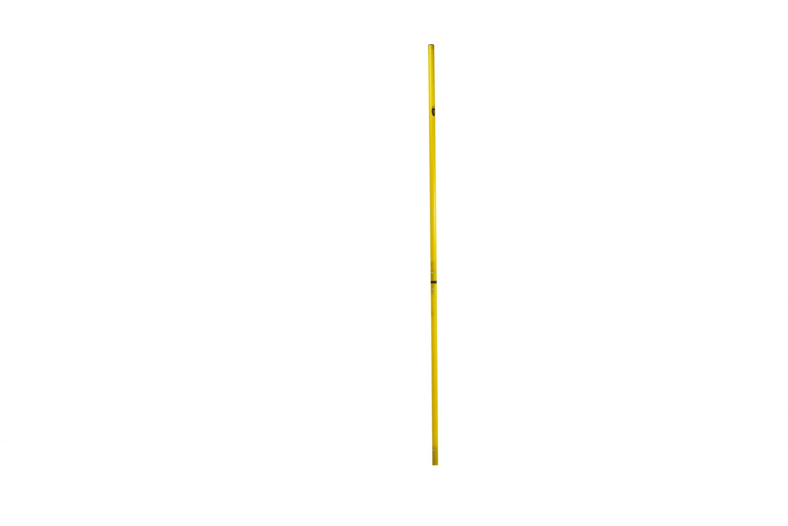 Slalomkäpp med markspik - 2