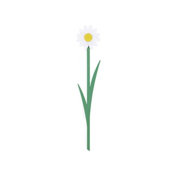 Bokmärke Blomma, Prästkrage Vit