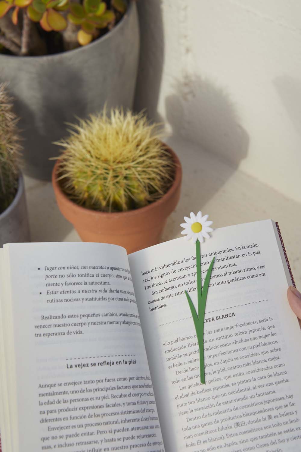 Bokmärke Blomma, Prästkrage Vit - 3