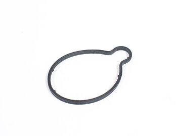 Seal, vacuum pump D5244T