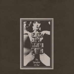 Felt - Splendour of Fear