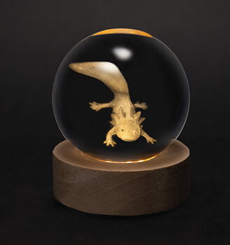 Crystal Silhouettes Globe - Axolotl