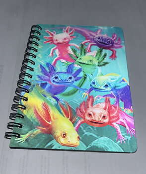 3D LiveLife Jotters - Axolotls