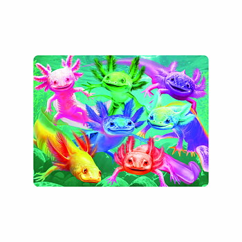 3D Kort - Axolotls