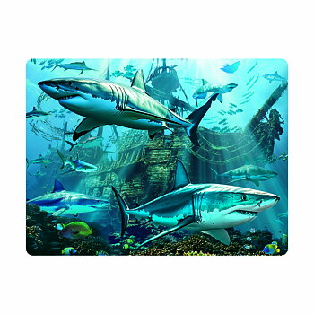 3D Kort - Shark Wreck