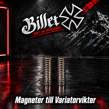BilletX Magneter till Vikter, 30st
