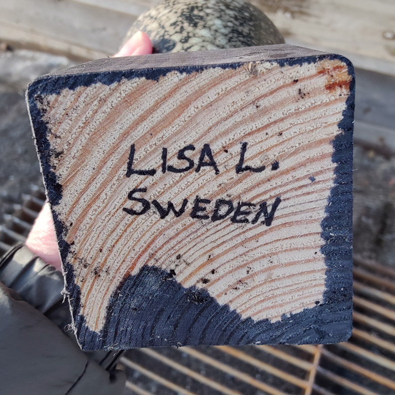 Fågel Fenix Ossian svart av Lisa Larson - 4
