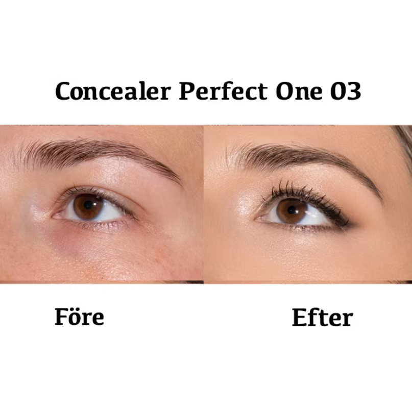 Perfect ONE Concealer flytande  PuroBIO - 6