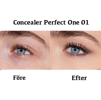 Perfect ONE Concealer flytande  PuroBIO