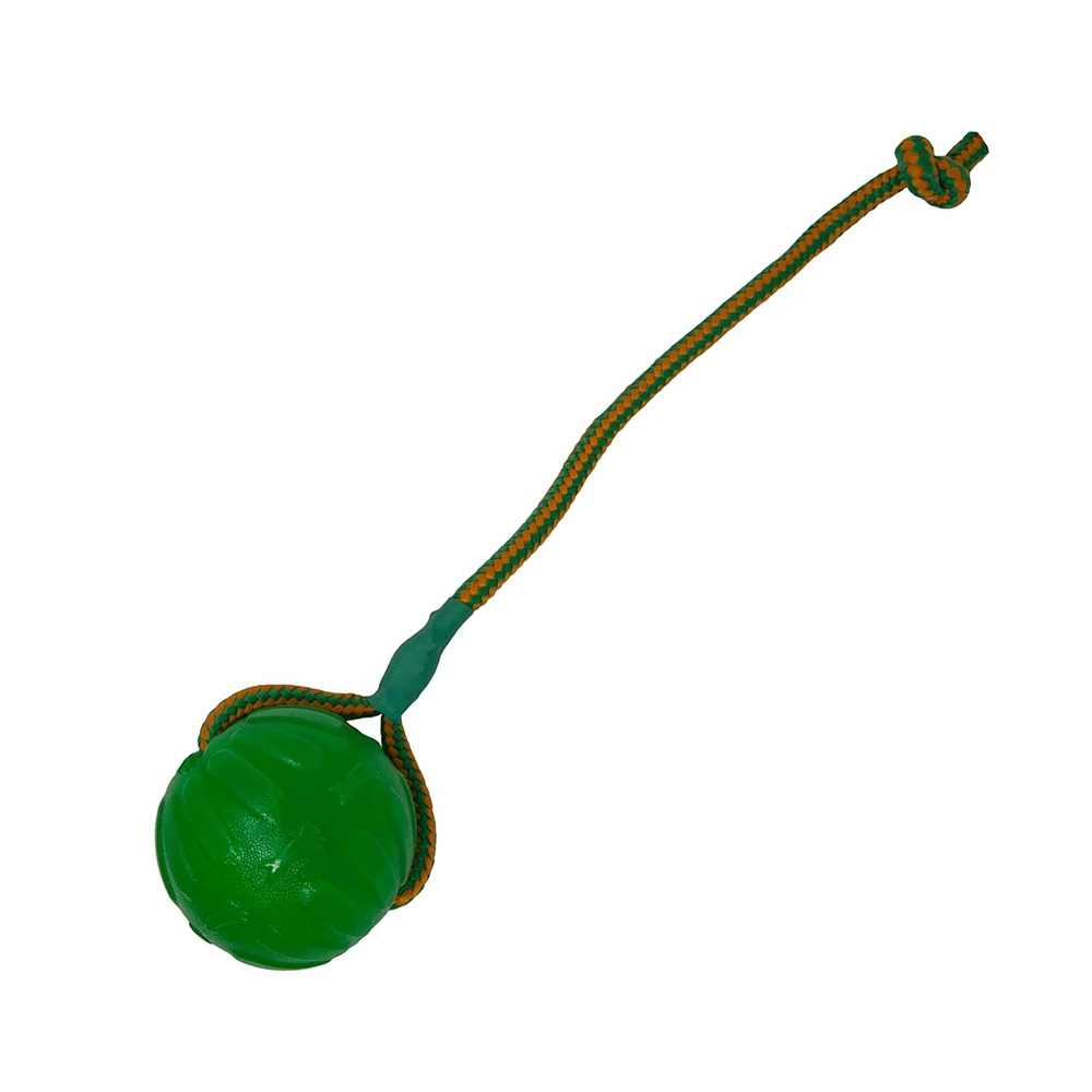 Hundleksak grön tålig boll med kort handtag