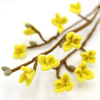 Nåltovad gren med gula blommor