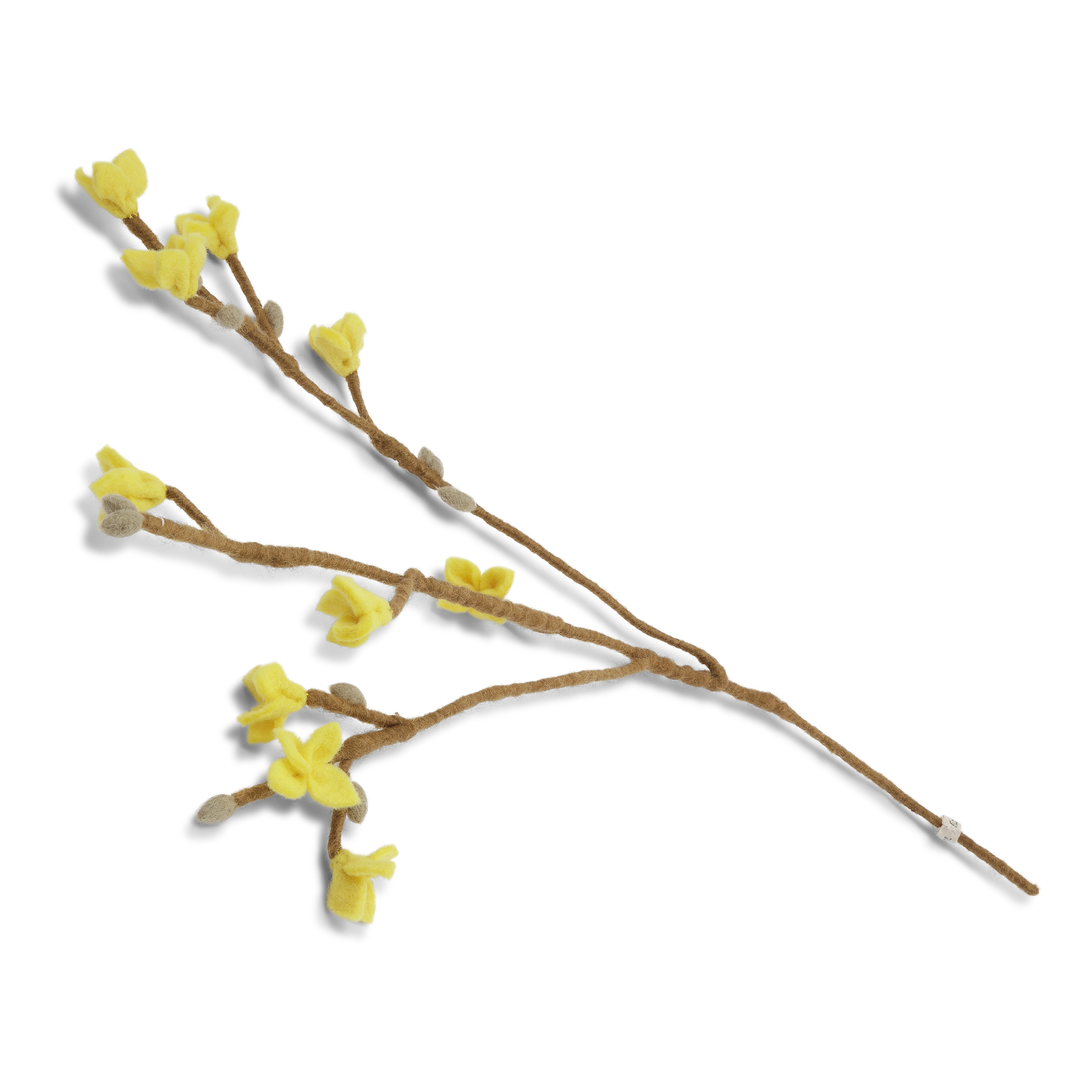 Nåltovad gren med gula blommor - 3