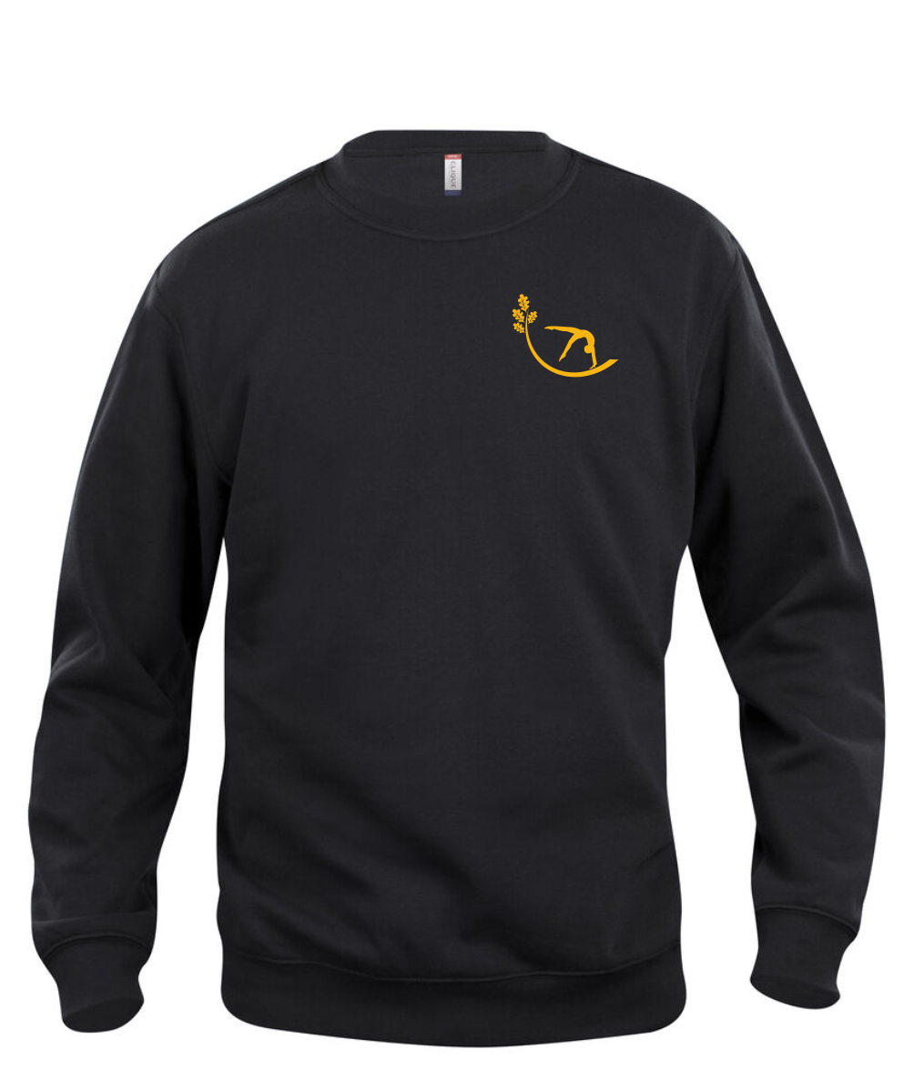 Basic  Sweatshirt unisex  (RBY EKEN) 