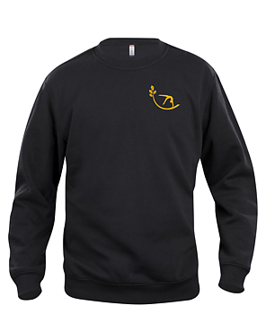 Basic Sweatshirt Junior (RBY EKEN)