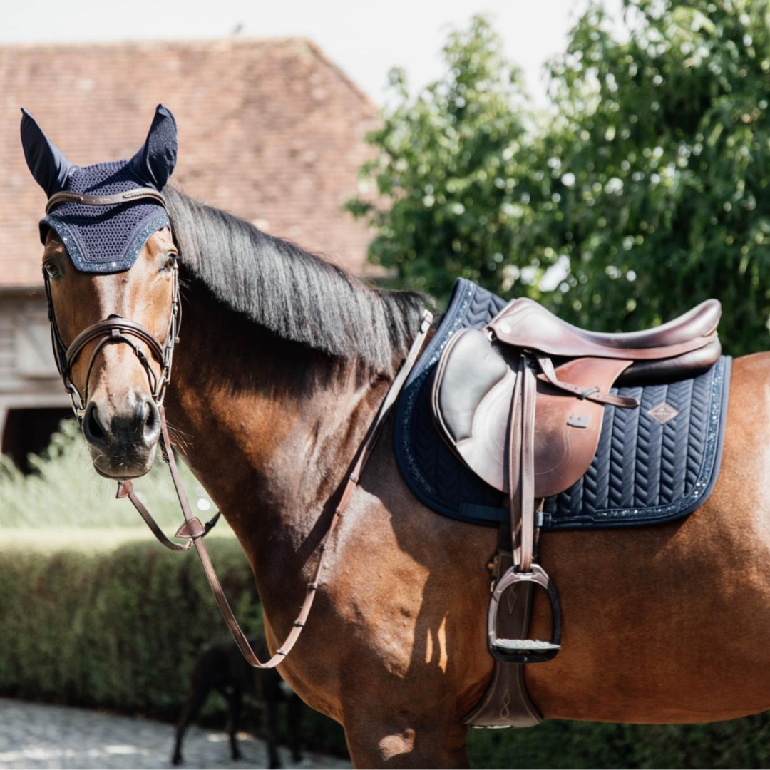 KENTUCKY JUMPING PAD GLITTER STONE  - 4