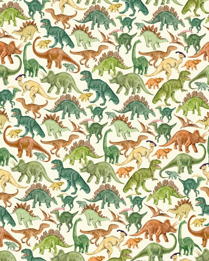 Dinosaurs, Roll Wrap