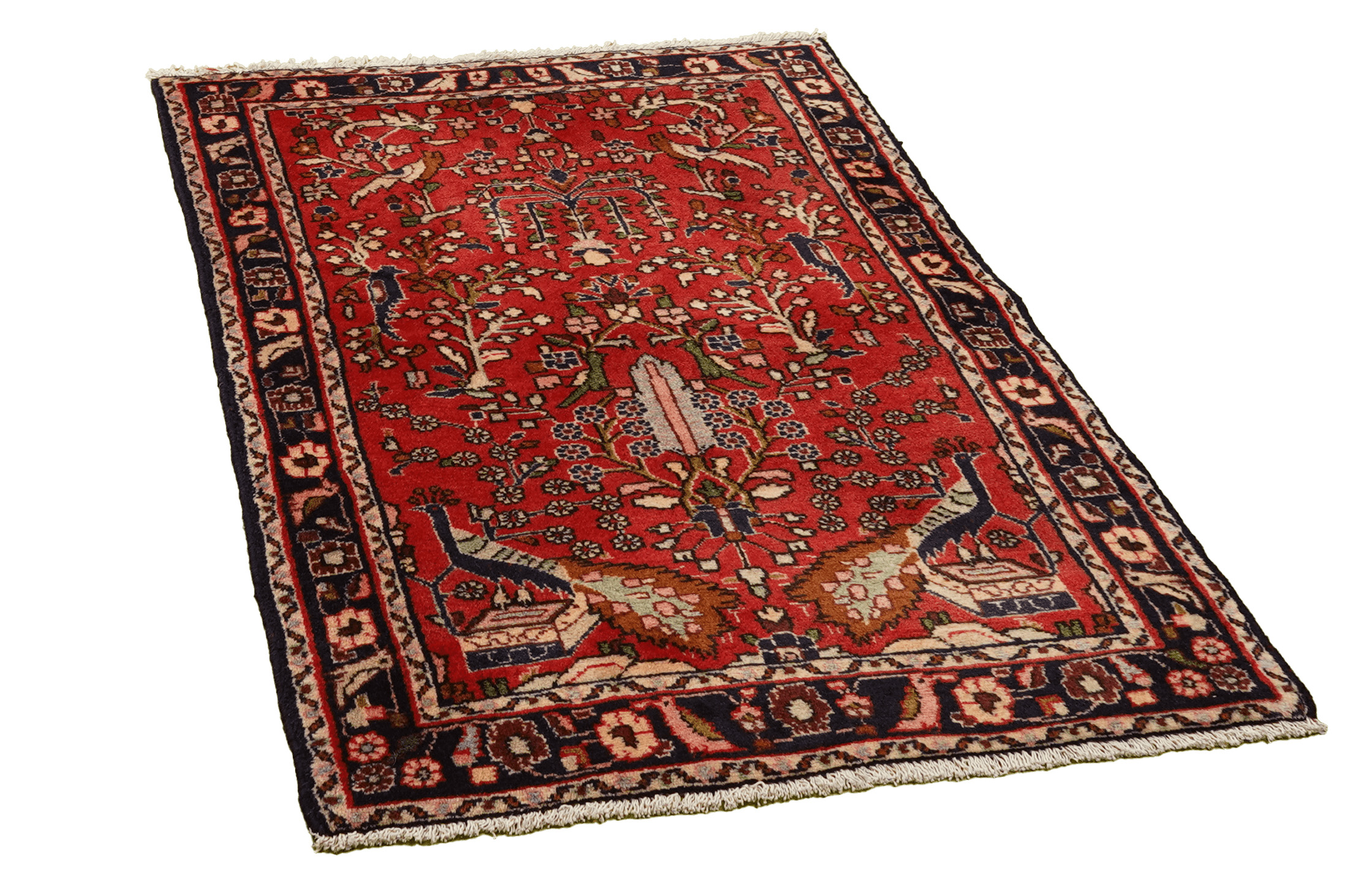 Dardjazin 79x120cm - 2