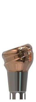 Docklocs 18˚ Angled Abutment KIT 1 mm for Ankylos®