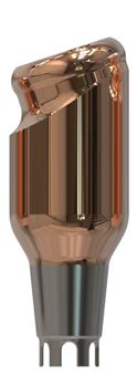 Docklocs 18˚ Angled Abutment KIT 5 mm for Ankylos®