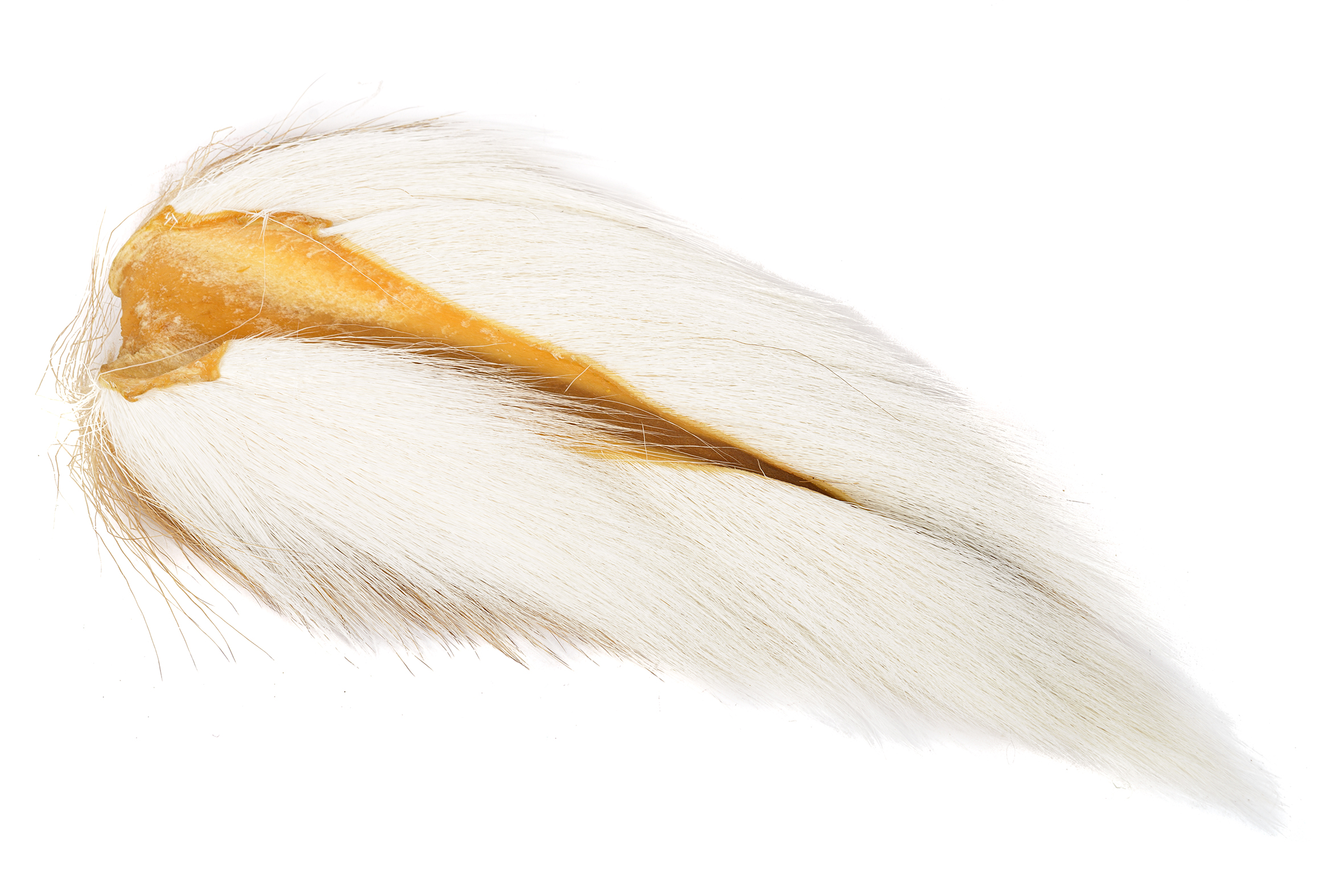 Bucktail Large -Wapsi - 19