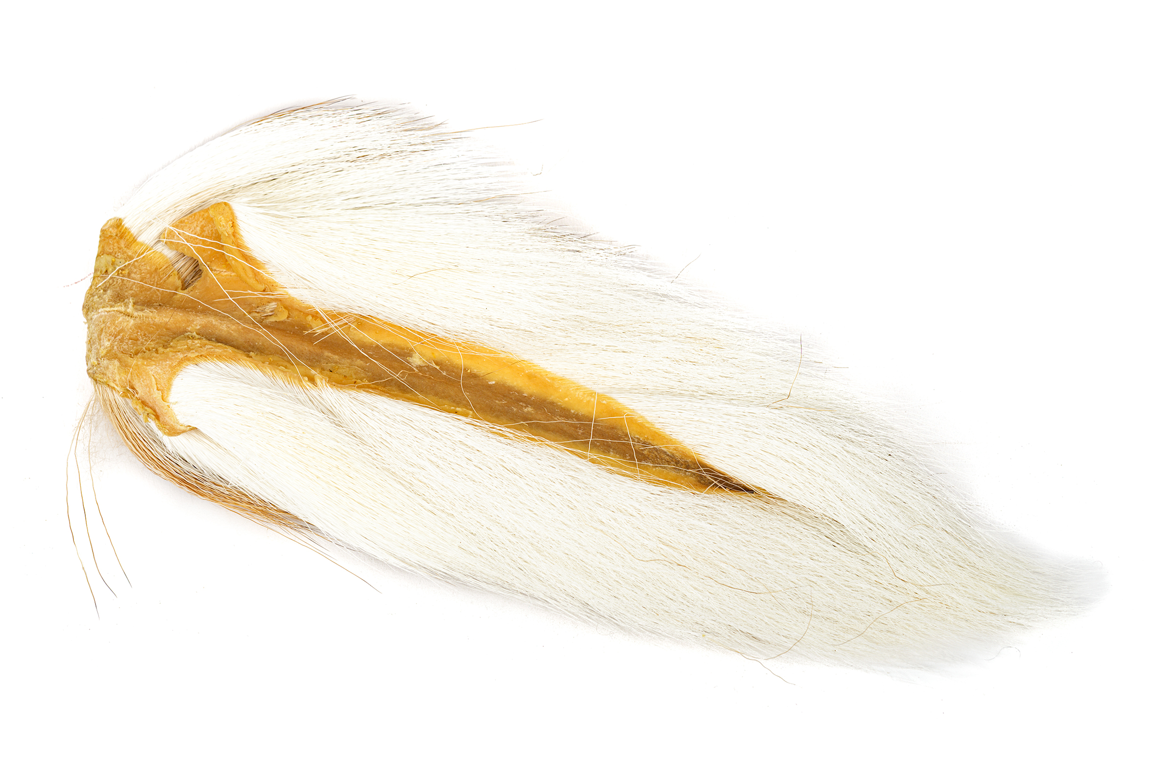 Bucktail Large -Wapsi - 21