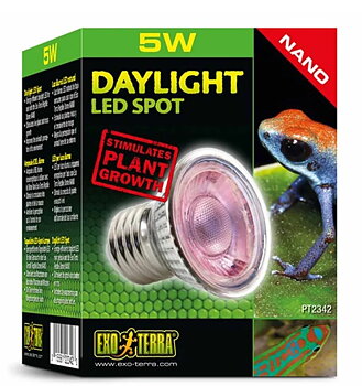 Daylight LED 5 W E27 Exoterra
