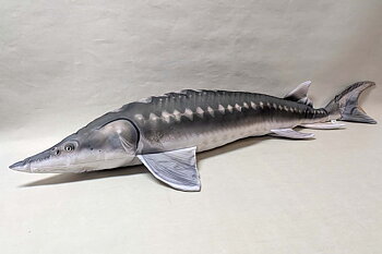 European sturgeon pillow 120x30 cm