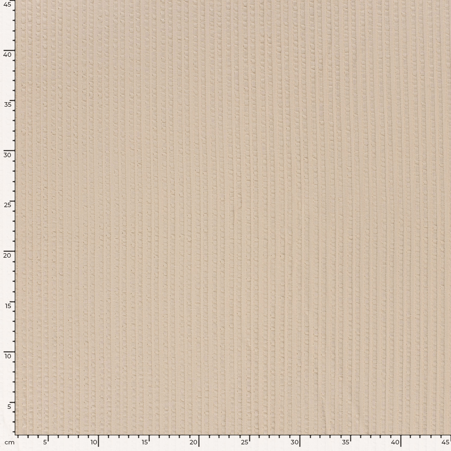 RIB WAVY - BEIGE - 5