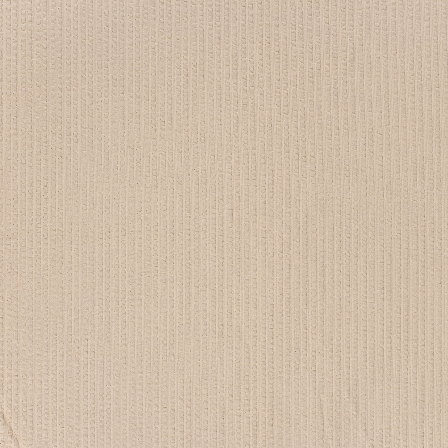 RIB WAVY - BEIGE - 2