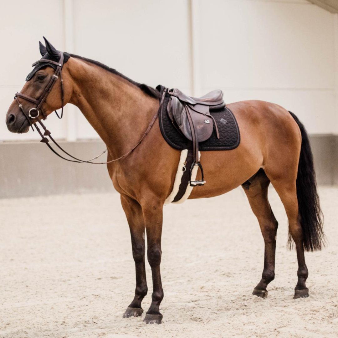 KENTUCKY JUMPING PAD  GLITTER ROPE  - 5
