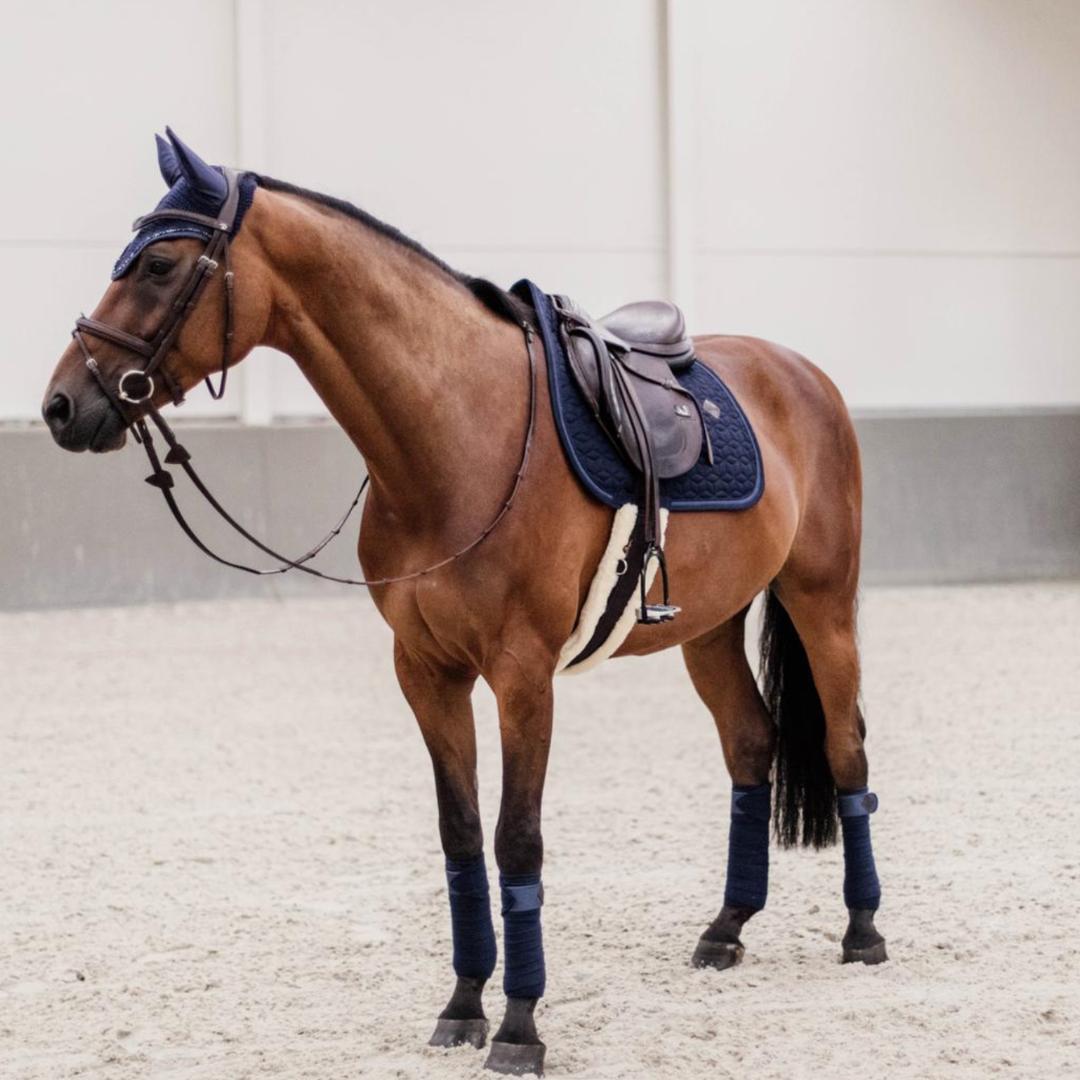 KENTUCKY JUMPING PAD  GLITTER ROPE  - 7