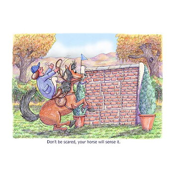 Greeting Card Horse Motif Don't Be Scared