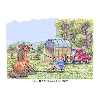 Greeting Card Horse Motif Horse Box