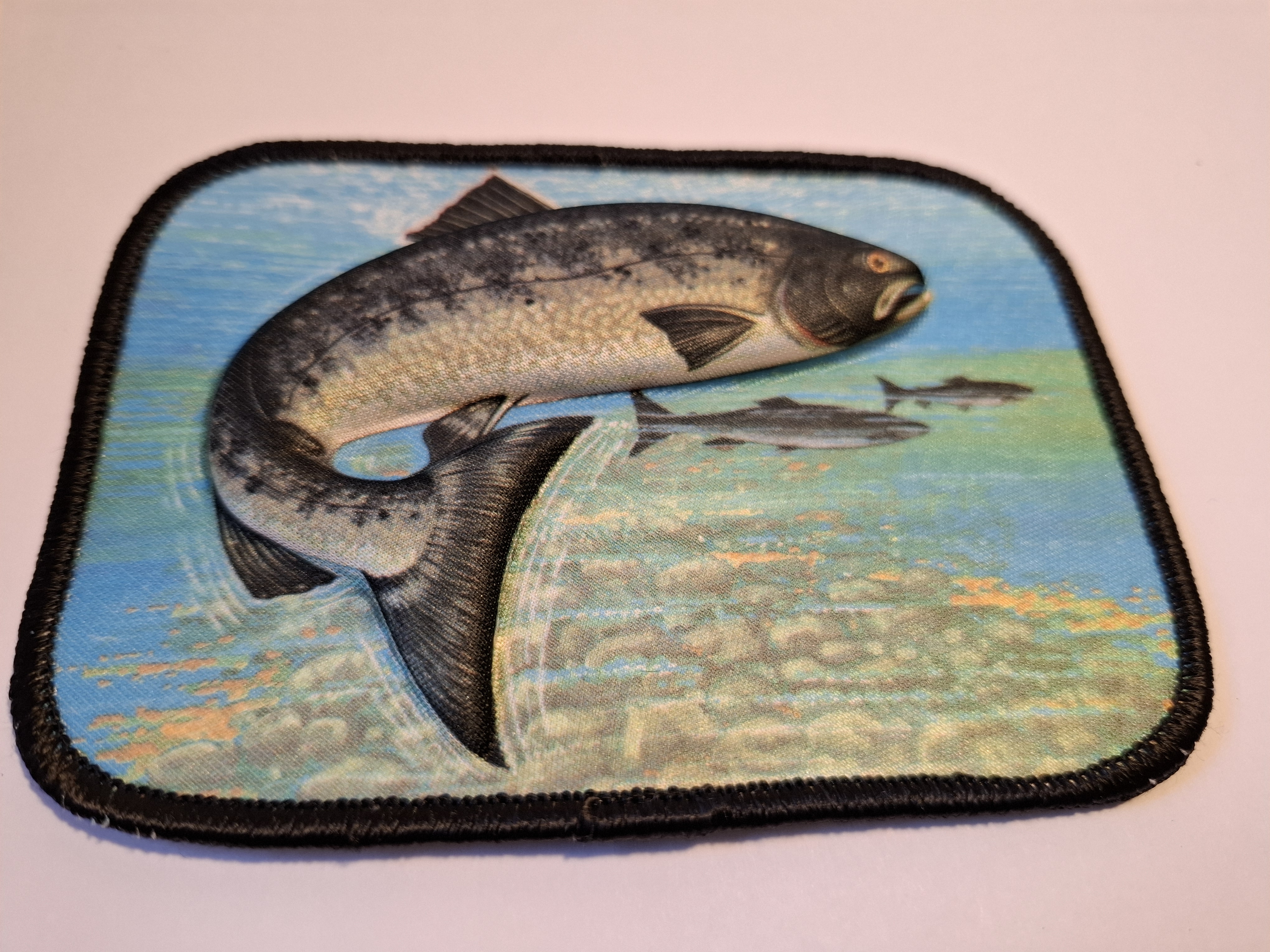 Amerikansk 3d-patch -Öring