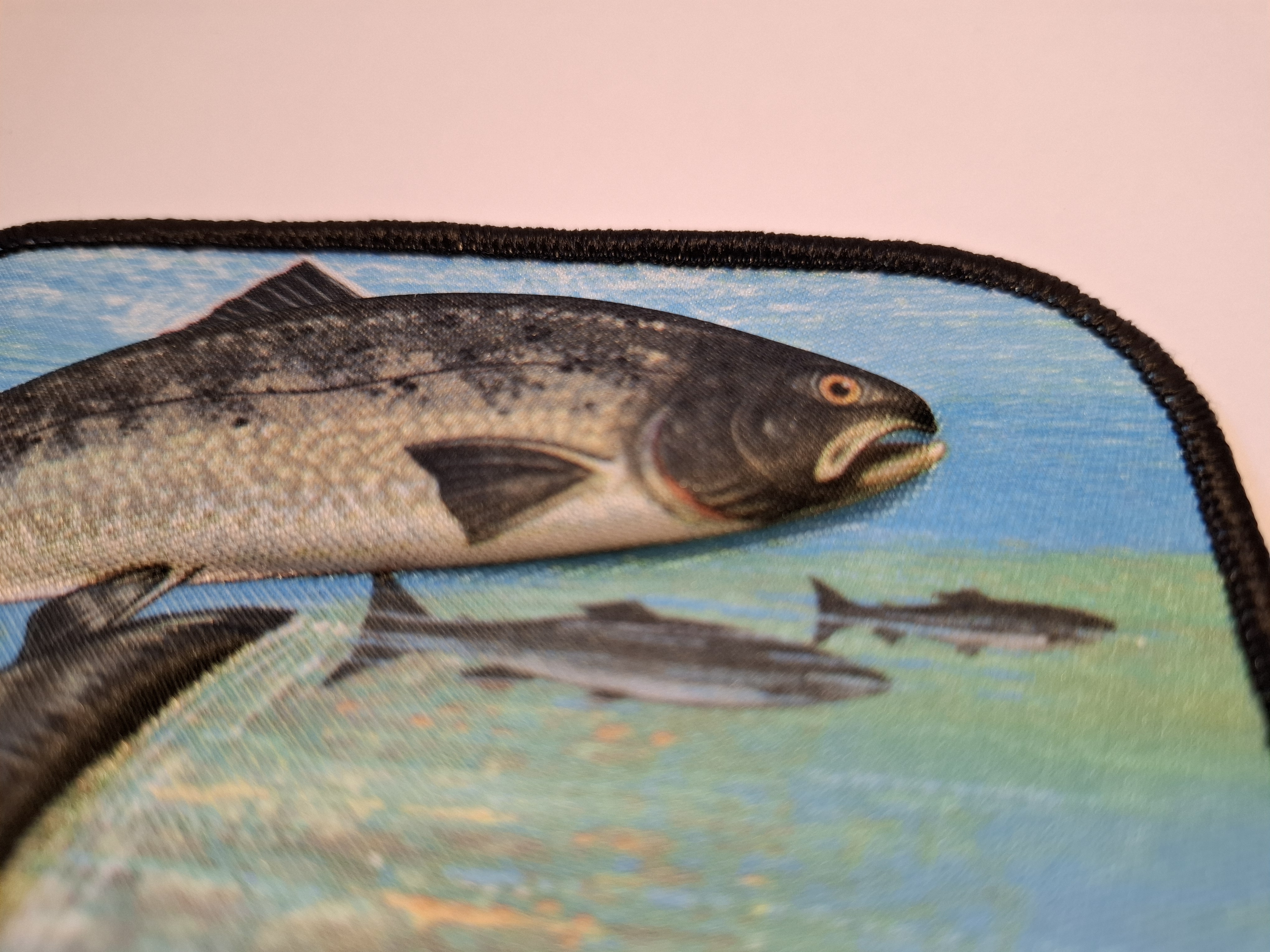 Amerikansk 3d-patch -Öring - 2