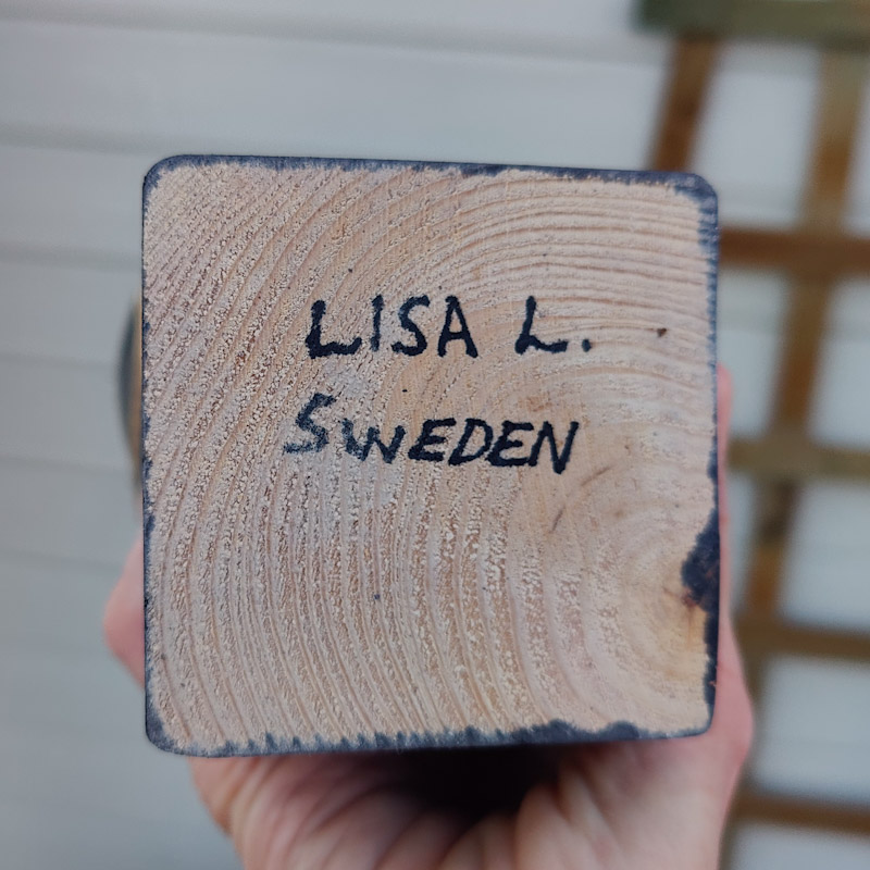 Fågel Fenix Ossian svart av Lisa Larson - 4