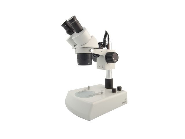 Stereomikroskop  BMS-11-B-2L Bino (10 och 30x) - 2