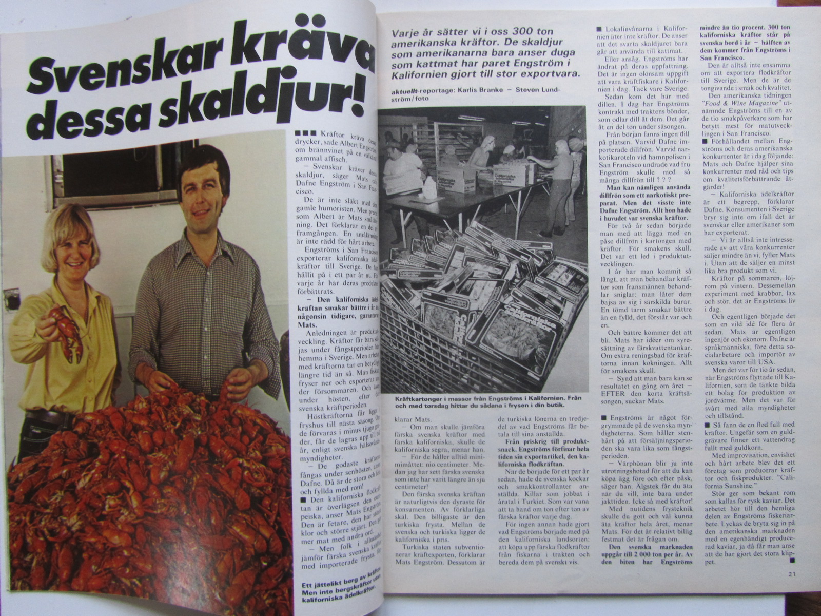 Fib aktuellt 1982 32 - 3