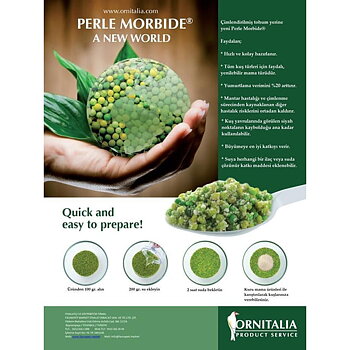 Perle Morbide