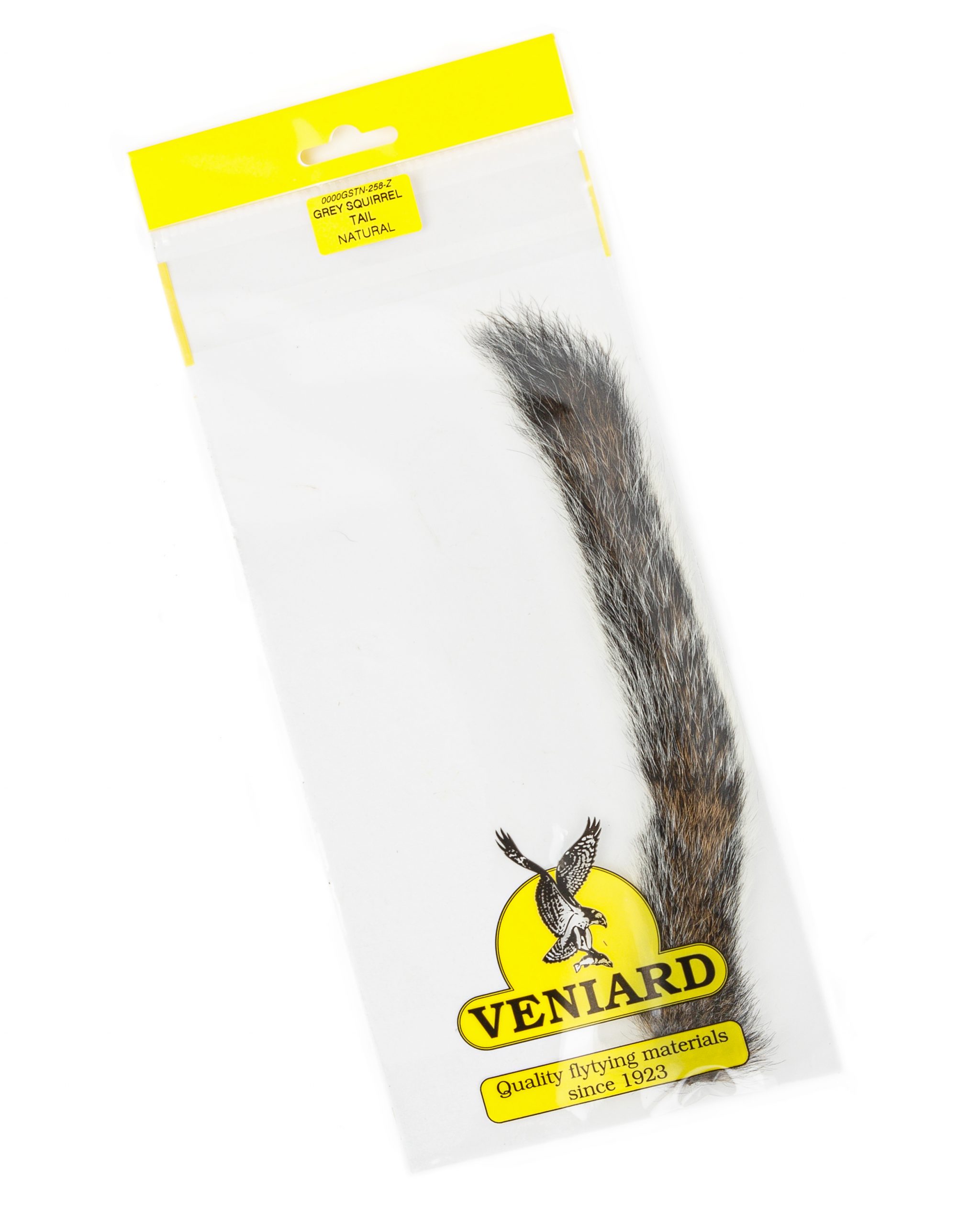 Gray Squirrel tail