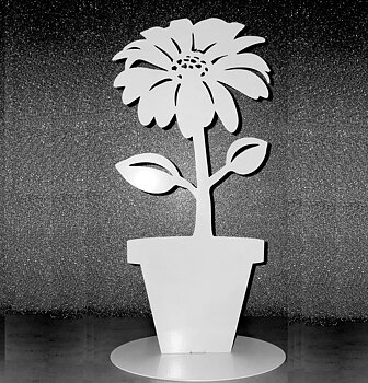 Tusensköna blomma i vit plåt lantlig stil Gårdsromantik