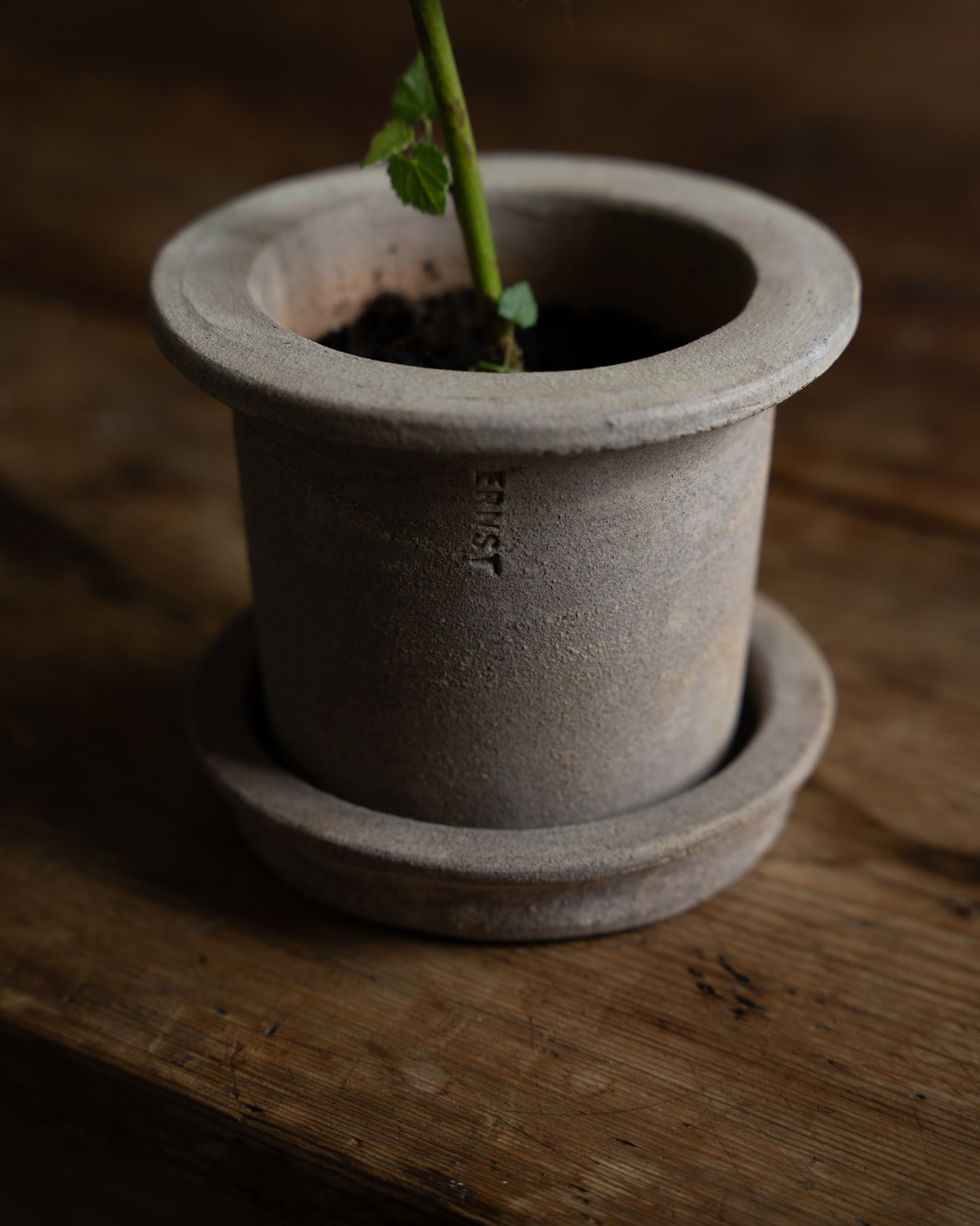 ERNST Kruka med fat - Terracotta - 12x10 cm - 3
